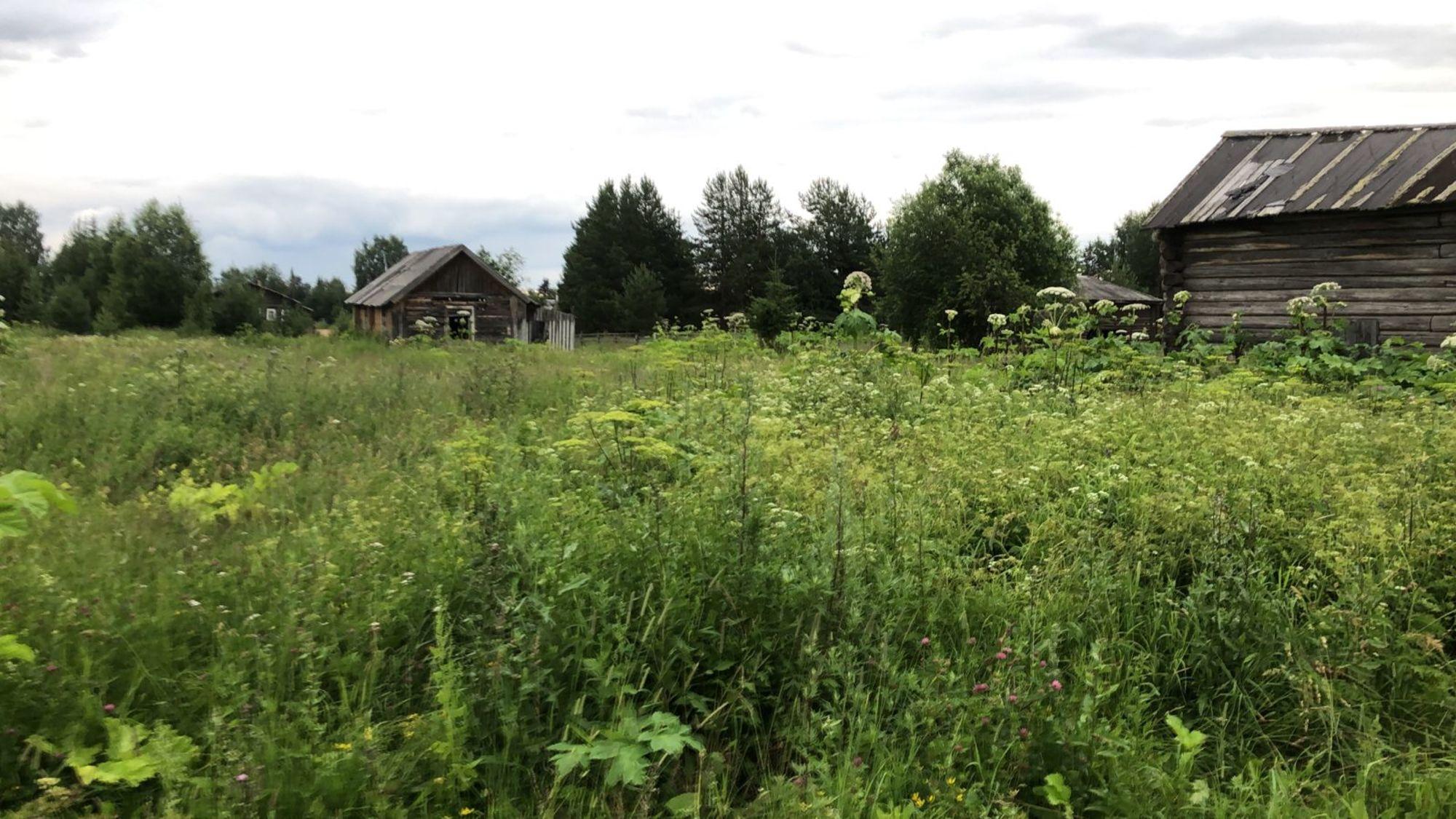 Купить землю, земельный участок за 108 370 рублей на село Озёл