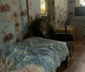 2-комн, 44кв м, этаж 1/2 Ухта, улица Пушкина, 7