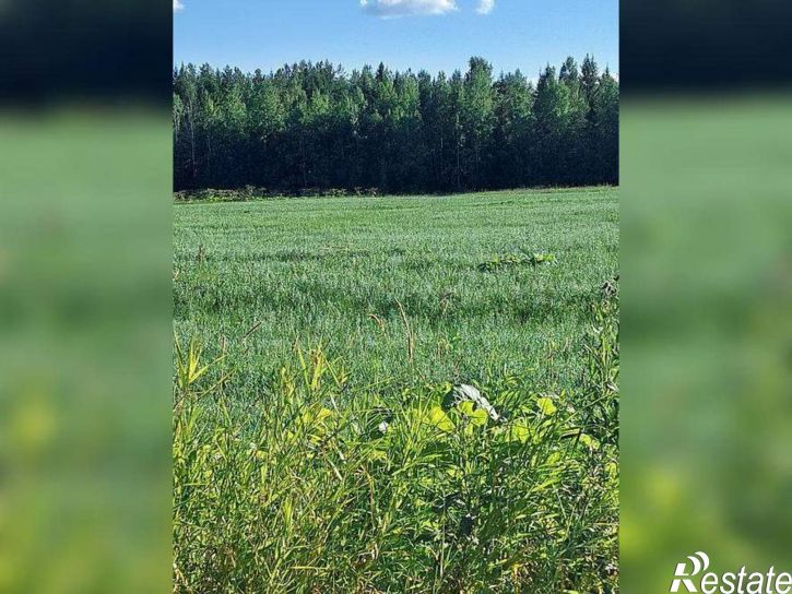 Земельный участок с. Пажга